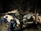 В Ростовской области 35-летний водитель авто погиб после столкновения с деревом