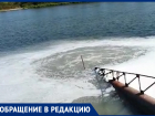 «Здесь купаются дети»: в Ростовской области в Дон стекает зловонная жижа