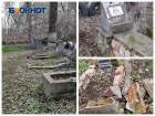 «Мы помним»: в Батайске вандалы разгромили могилы погибших в ВОВ летчиков