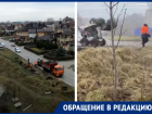 Сотрудники администрации Ростова случайно высадили елки, а потом выкопали их обратно