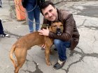 Депутат Заксобрания Ростовской области навестил пса, над которым издевался подросток-живодер