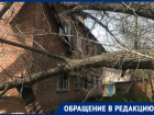 Упавшее дерево пробило крышу многоквартирного дома в Ростове