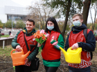 До конца ноября 2021 года в Ростове-на-Дону высадят более 100 тысяч тюльпанов