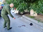 Уголовное дело возбудили на мужчину, напавшего на конвоира и пристава в Ростове