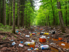 В лесу Ростовской области незаконно сбрасывали отходы 