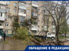 Вырванное с корнем дерево повредило несколько балконов в Ростове