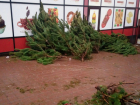 Активные продавцы елок «разбросали» свой бизнес по ростовским улицам