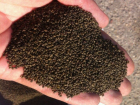 Десятки тонн семян с ядовитыми алкалоидами обнаружили у женщины-фермера в Ростовской области