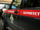 В Ростовской области в лесополосе  нашли изрезанное тело пропавшей женщины