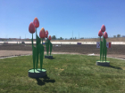 Гигантские тюльпаны выросли в пустыне вокруг "Ростов-Арены"