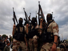 За финансирование ИГИЛ в Ростове на пять лет осудили жителя Дагестана