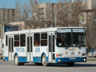 Поскользнувшегося на ступеньке пассажира обматерил водитель маршрутного автобуса в Ростове