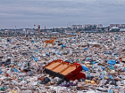 Суд запретил мусорный полигон на участке в Ростовской области