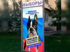 Ростовчанин, уставший от однообразия выборов, выдвинул в депутаты своего пса
