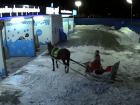 Праздник к нам приходит: в Ростове Дед Мороз приехал на автомойку и попал на видео 