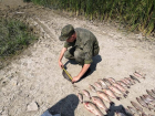 Ростовские пограничники поймали с поличным браконьера
