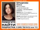 В Ростовской области несколько дней разыскивают 14-летнюю девушку