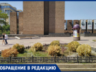 «Они погибают, но никому нет дела!»: ростовчанин просит власти города спасти растения на Пушкинской 