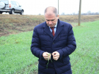 В Ростовской области фермеры не до конца доверяют отечественным семенам