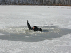 Ушедшего под лед по горлышко мужчину вытащили из замерзшего водохранилища Ростовской области