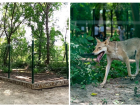 В Ростовском зоопарке для волков построили новый вольер