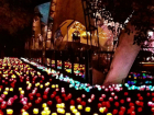 Поляна светящихся ночью роз появилась у Театральной площади Ростова