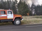 Крупный пожар в Ростовской области удалось частично локализовать