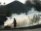 Войны "поджигателей" с мирными соседями начались в садовых товариществах Ростова