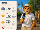 В Ростов 5 июля вернётся жара до +27 