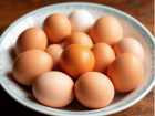 На Дону сократилось производство яиц почти на 19%
