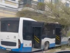 В центре Ростова новый автобус снес дерево, пострадала женщина