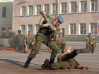 Демонстрацию рукопашного боя обещают в Ростове на День ВДВ