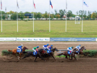 Спасти ростовский ипподром от сноса просят коневладельцы, тренеры и жокеи