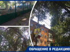 «Кого-нибудь убьет током»: в Ростове рядом с детским садом сухие ветки от деревьев падают на линии электропередач