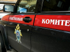 Власти Ростовской области прокомментировали задержание руководства минцифры