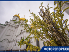Верующие жители Ростова встретили Вербное воскресенье в храмах города