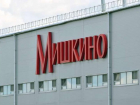 Товарные знаки и оборудование кондитерской фабрики «Мишкино» выставили на торги