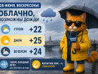 Ветреная погода и дожди могут испортить последний выходной июня в Ростове