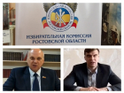 Два члена избиркома Ростовской области пожаловались на ограничения в правах после голосования по поправкам конституции