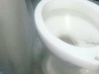 «Оборудованная» комфортабельным туалетом маршрутка до слез рассмешила жителей Ростова