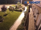 Карате-мадам разнесла чью-то клумбу с цветами на Молодежной