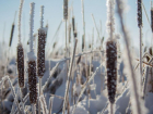 В Ростовской области 6 декабря температура упадет до -16°