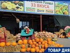 ТОВАР ДНЯ: Тыква в подарок на тыквенной ферме Андраника Срапионяна 