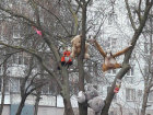 Распятая на дереве обезьяна шокировала «до седых волос» жителей Ростова