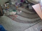 В Ростовской области задержали супругов-наркосбытчиков