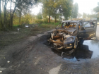 Иномарка загорелась во время движения в Ростовской области