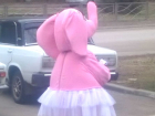 Розовая слониха в белой юбочке на улице Таганрога вызвала у мужчины желание жениться