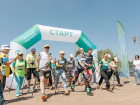 На юге России 31 мая стартует «Зеленый Марафон» 