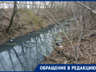 Поселку под Ростовом из-за слива сточных вод в канал грозит экологическая катастрофа