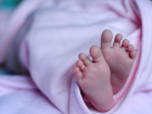 Младенческая смертность в Веселовском районе в 2,5 раза превысила средний показатель по области